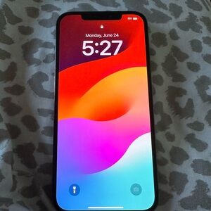 Iphone 12 pro max 256 gb